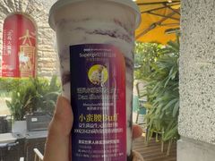 -Blueglass酸奶(上生新所店)