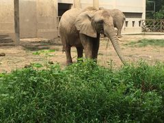 -辛玛王国游乐园