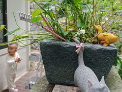 -风车面包