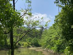 -青龙山国家森林公园