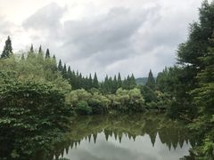 -井冈山风景名胜区