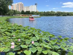 -莲花池公园