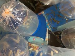 -中环花鸟鱼虫市场