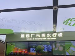-Yes Lemon就是柠·手打柠檬茶(苏州中心一店)