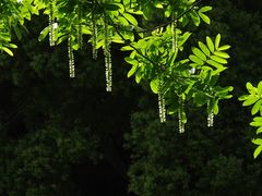 -汇龙潭