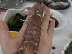 -朱富贵火锅(金融街万达店)
