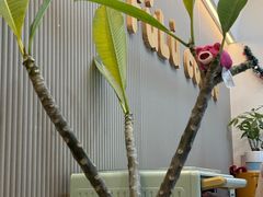 -Fulu Coffee福禄(花园城店)