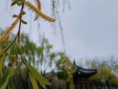 -西安青龙寺遗址景区