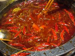 -蜀大侠火锅(总府路店)