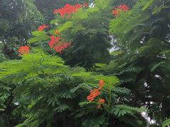 -中国客家博物馆