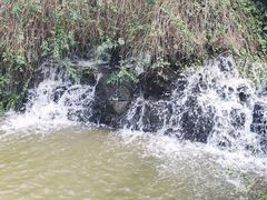 -上海怡沁园度假酒店