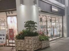 -COACH蔻驰(盛京奥特莱斯店)