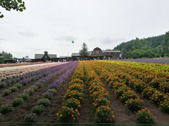 -富田农场