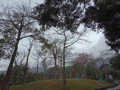 -长沙富力万达文华酒店