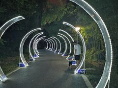 -昆山城市生态森林公园