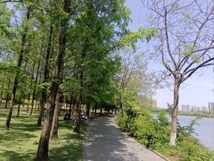 -成都南湖公园