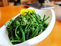 -丹江渔村(望京店)