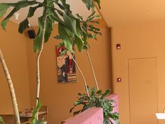 -美泰·Mangothai·清迈云街(天空之城店)