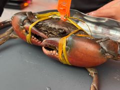 -Ministry of Crab•MOC(交子大道店)