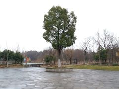 -梁鸿国家湿地公园