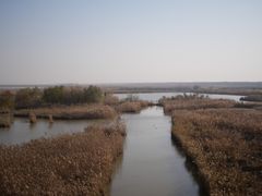 -盐城丹顶鹤湿地生态旅游区
