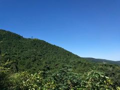 -国家植物园南园