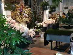 -蓝山四季西餐植物店