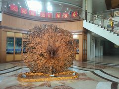 -金孔雀温泉旅游度假村