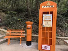 -上海佘山国家森林公园天马山园