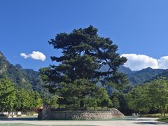 -秦岭终南山世界地质公园翠华山景区