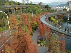 -梅峰山地公园