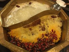 -蜀九香火锅(彩虹店)