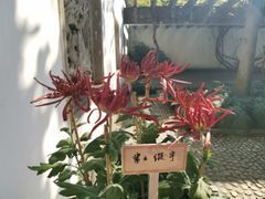 -杭州植物园