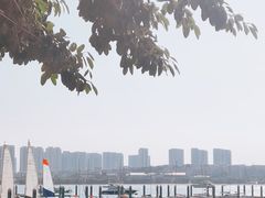 -五缘湾游艇帆船俱乐部
