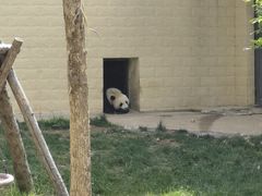 -石家庄市动物园