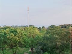 -贡湖湾湿地公园