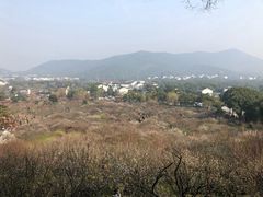 -太湖湖滨国家湿地公园-停车场