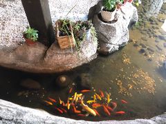 -渔家大院·地道威海菜(石岛店)