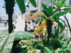 -春熙路步行街