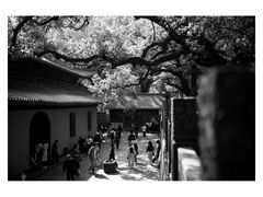 -普陀山风景名胜区-法雨禅寺