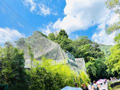 -黔灵山公园