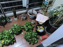 -三好食堂(煎饺·馄饨·肉饼米线·盛世广场店)