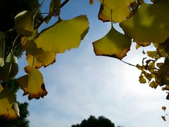 -苏州国际教育园