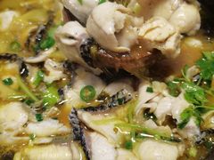 -东家小院金汤酸菜鱼(南阳路店)