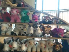 -ZOO COFFEE动物园咖啡(望京锐创店)