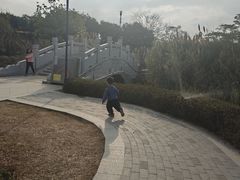 -王借岗森林公园