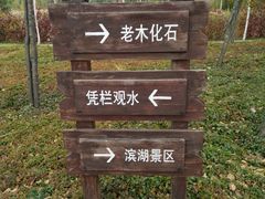 -群力丁香公园