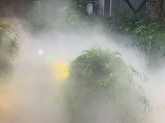 -大妙火锅·非物质文化遗产(东湖公园店)