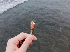 -台山黑沙湾海浴场