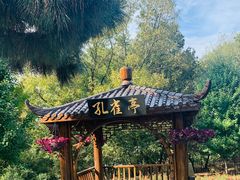 -南京枫彩漫城